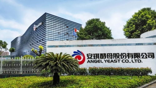 新阵线酵母营养复合肥 酵母科技赋能西南种植